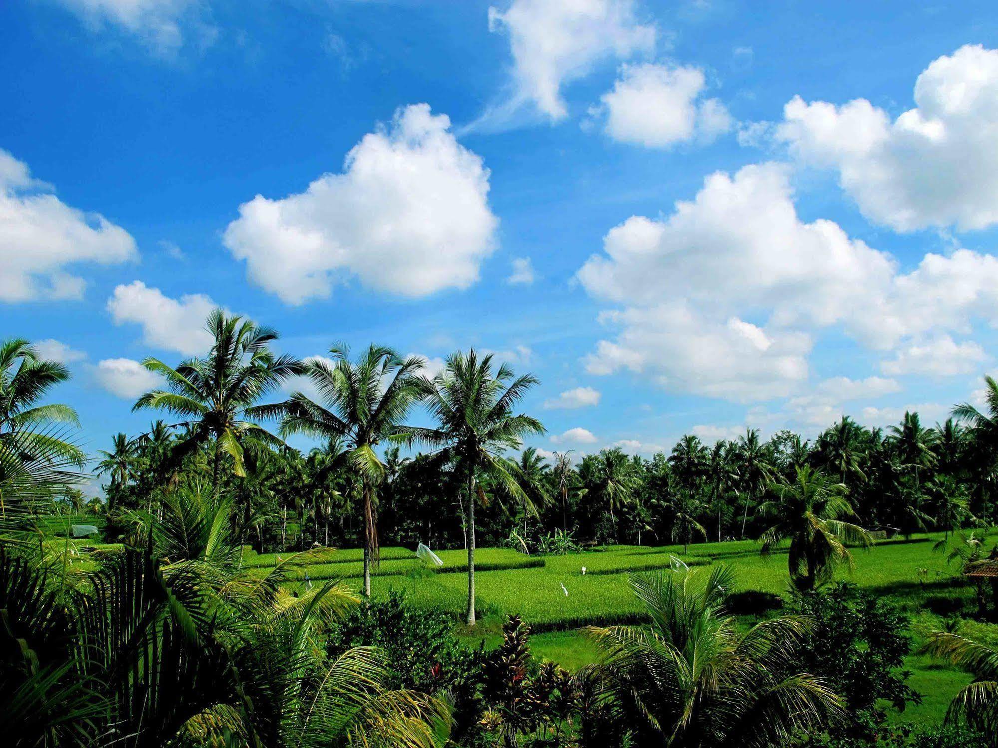 Puri Suksma Ubud Exterior foto